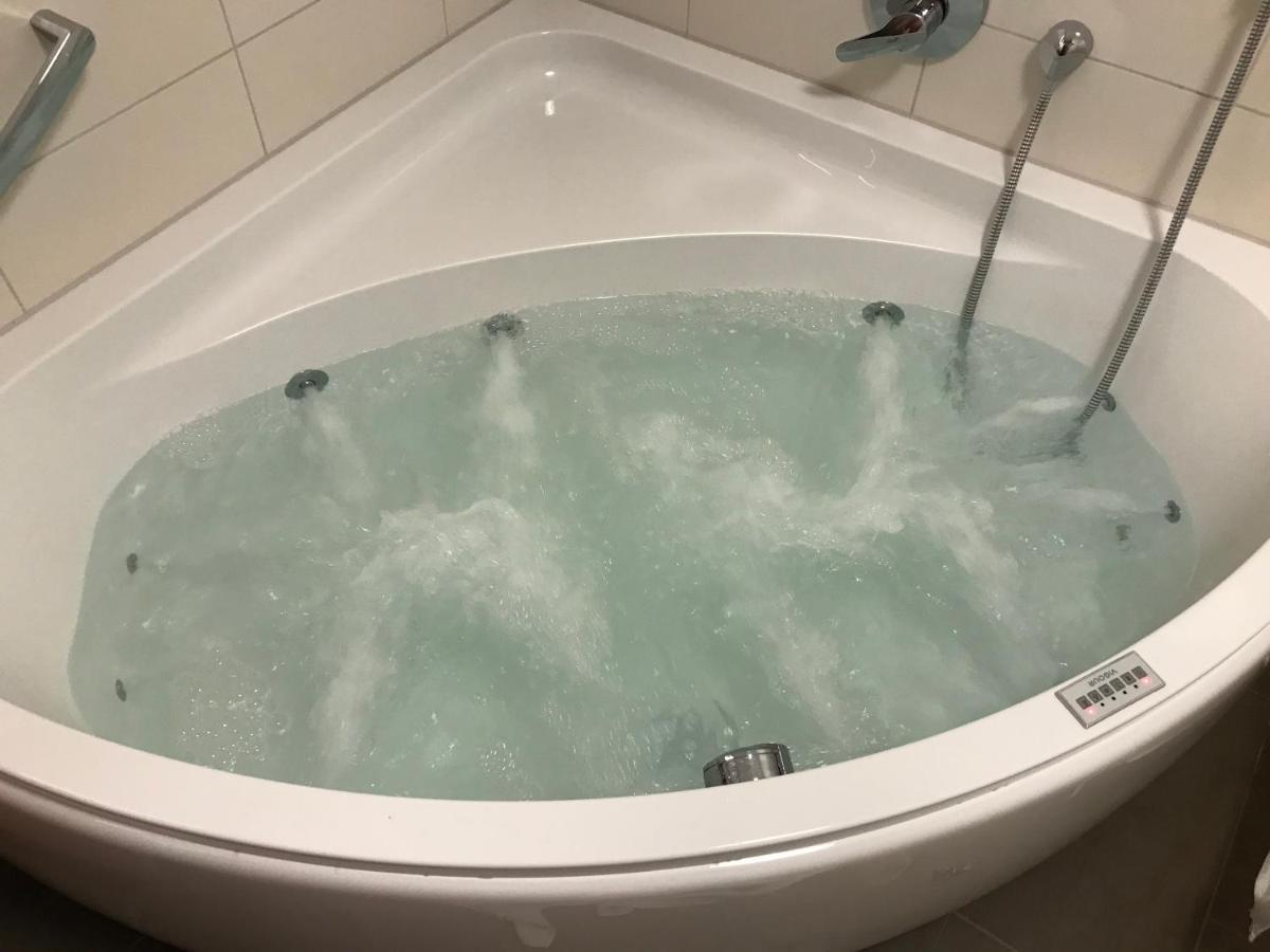 Gipfelstuermer Feldberg - In Out, Whirlpool & Infrarotkabine * Feldberg (Baden-Wurttemberg)